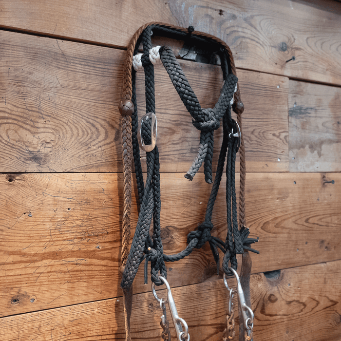 Wright Chain Bit Bridle Rig
