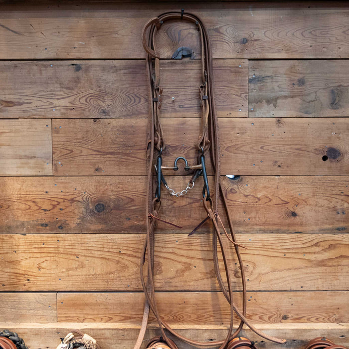 Correction Bridle Rig w/ Single Ear Headstall