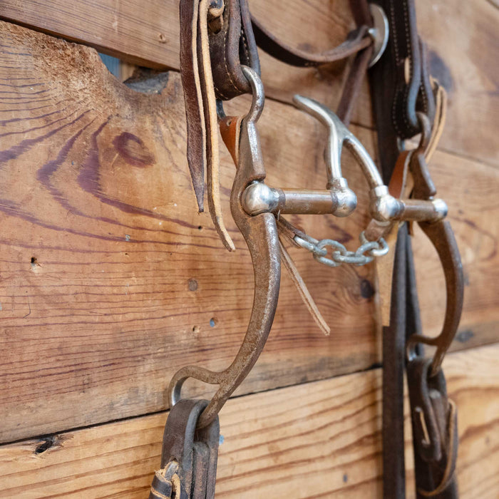 Kerry Kelley Cathedral Bridle Rig