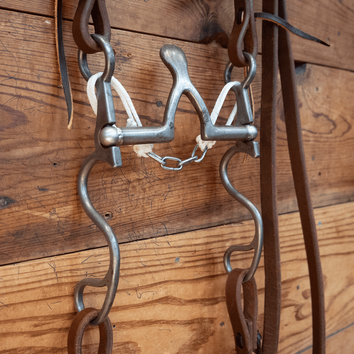 Kerry Kelley Cathedral Bit Bridle Rig