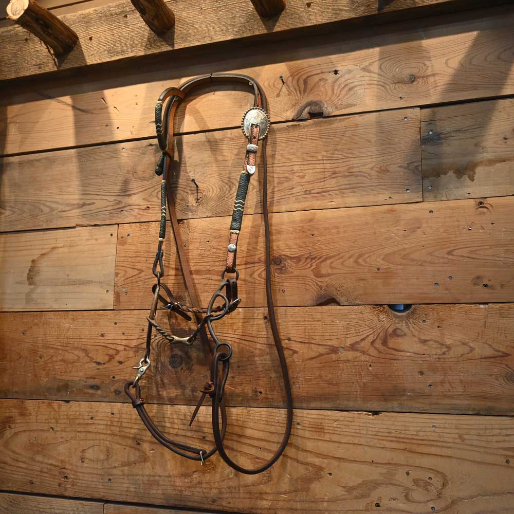 Bridle Rig - Dale Chavez Headstall with Silver Accents - Headstall Buckles - RIG421 Tack - Rigs Dale Chavez   