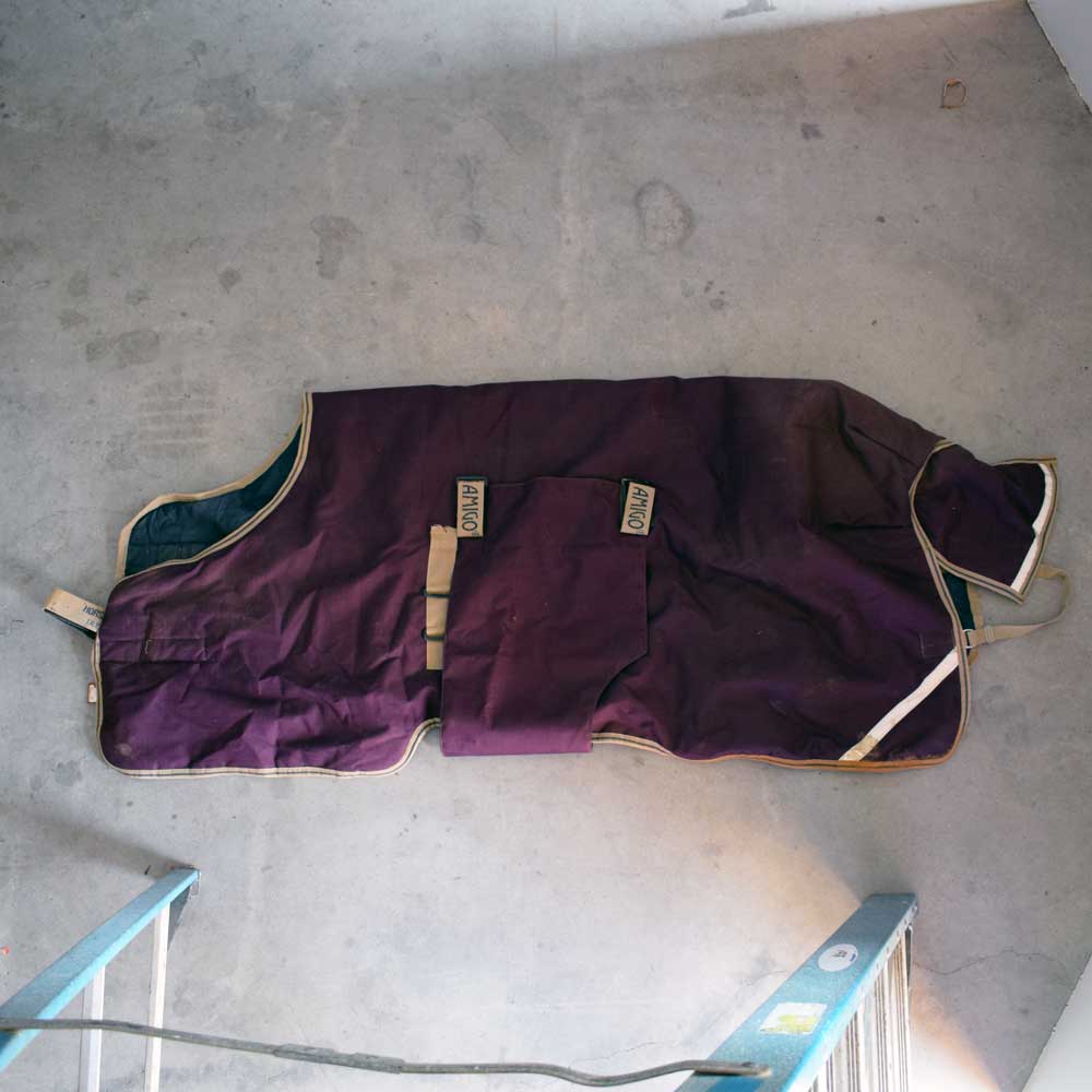 Used Amigo 60" Turnout Blanket Sale Barn Teskeys   