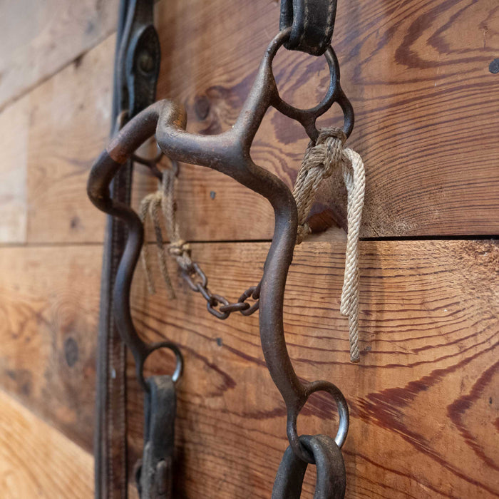 Kurtis Rudelbach Copper Port Bridle Rig