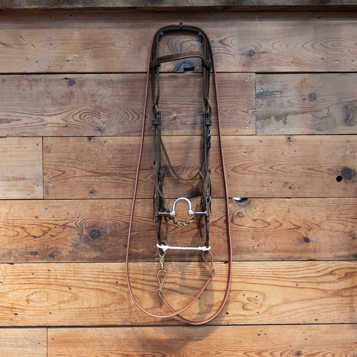 Tristan Mahoney Correction Bridle Rig