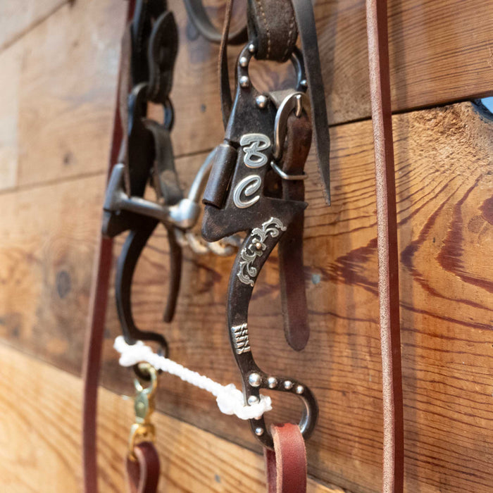 Tristan Mahoney Correction Bridle Rig