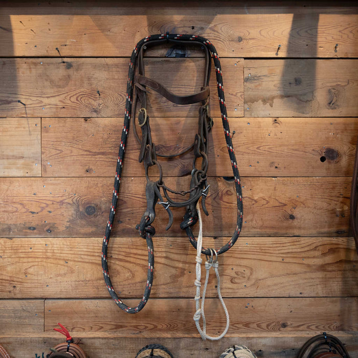 O-Ring Twisted Snaffle Bridle Rig