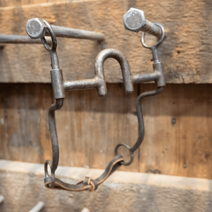 Daryl Davis Solid Port w/ Prongs Bit