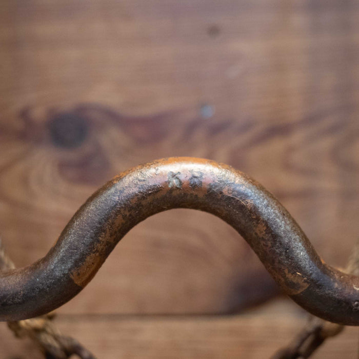 Kurtis Rudelbach Copper Port Bridle Rig