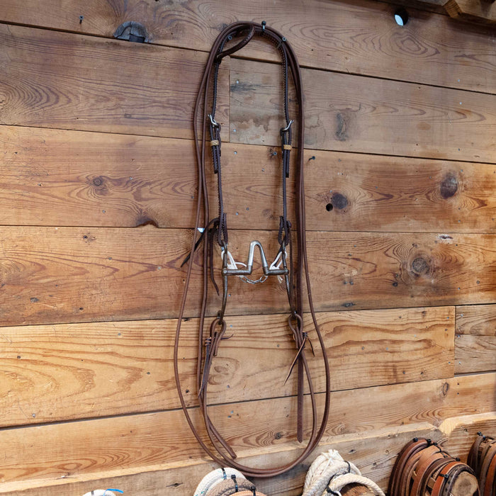 Kerry Kelley Correction Bridle Rig