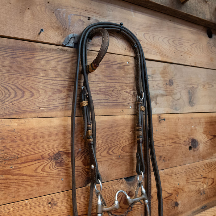 Don Hansen Correction Bridle Rig