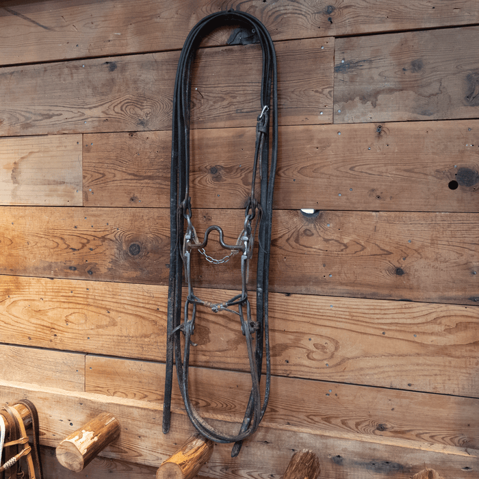 Dennis Moreland Port Bit Bridle Rig