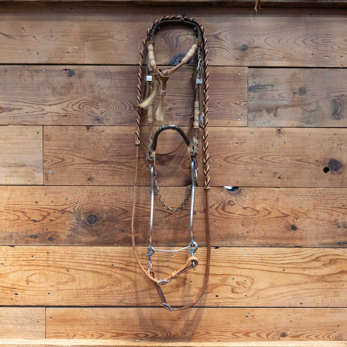 Hackamore Bridle Rig