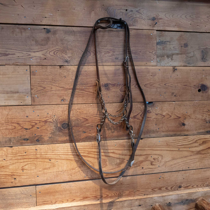 Petska Chain Gag Bit Bridle Rig