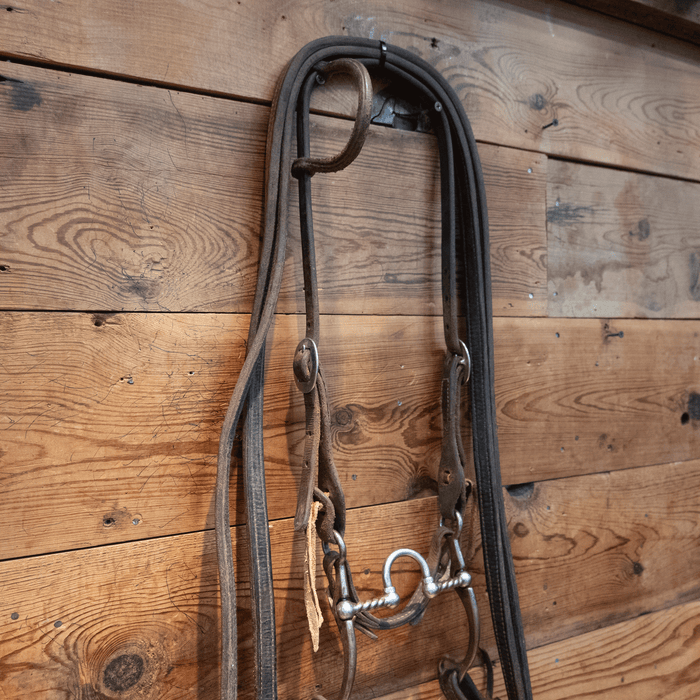 Kerry Kelley Twisted Wire Correction Bit Bridle Rig