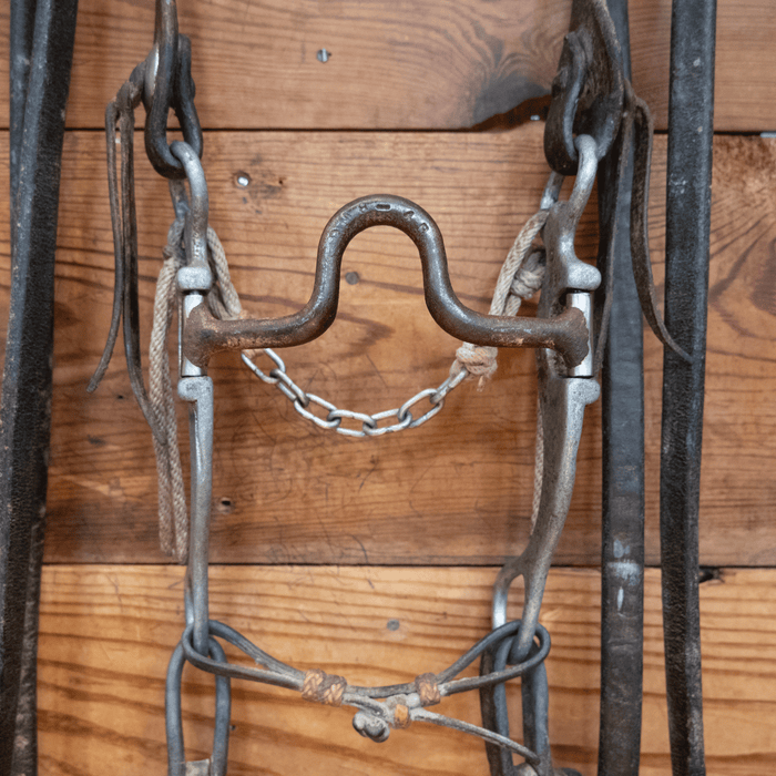 Dennis Moreland Port Bit Bridle Rig