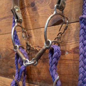 Sweet 6 with Lifesaver Bit Bridle Rig Sale Barn MISC