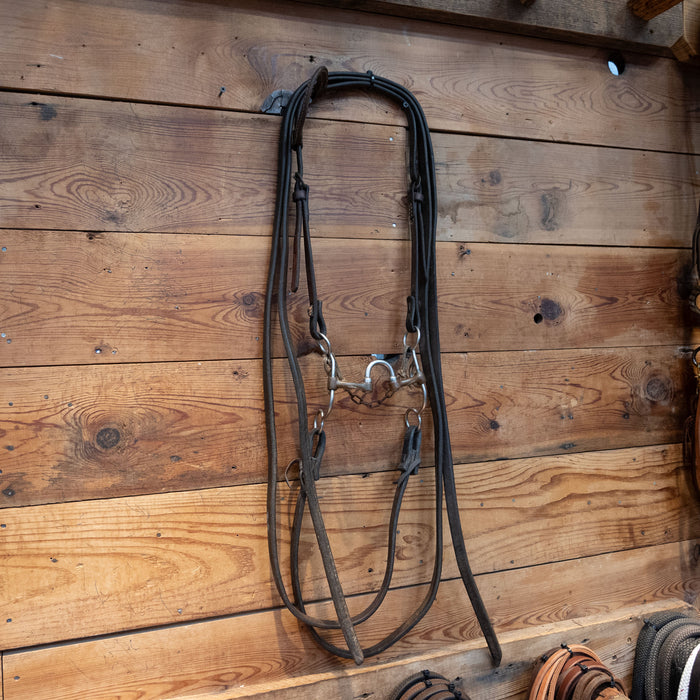 Correction w/ Brass Bars Bridle Rig