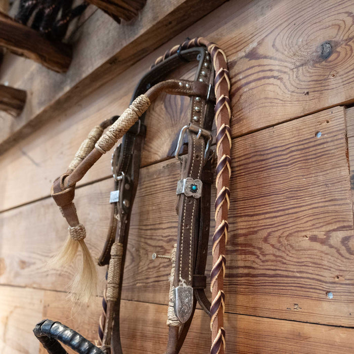 Hackamore Bridle Rig