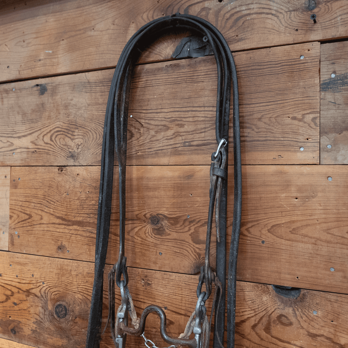 Dennis Moreland Port Bit Bridle Rig