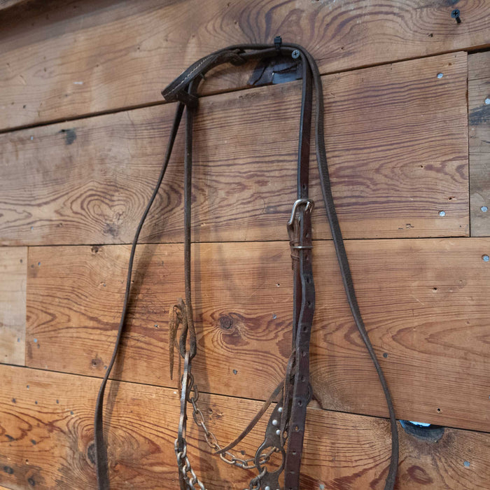 Petska Chain Gag Bit Bridle Rig