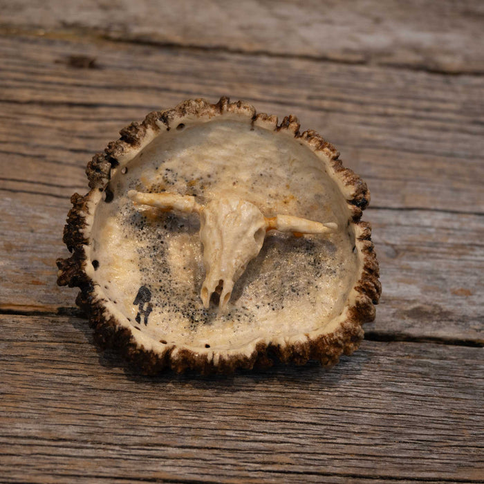 Handmade Elk Button Steer Skull Belt Buckle
