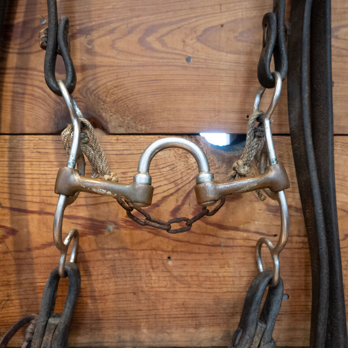 Correction w/ Brass Bars Bridle Rig