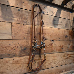 Bridle Rig - Stamped DG - Silver Mounted Correction Bit RIG746 Tack - Rigs S. Allen   