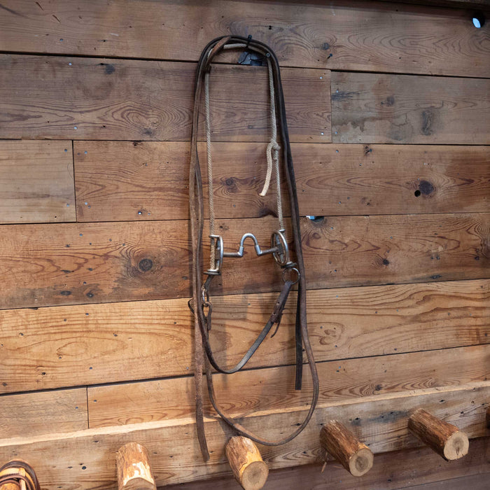 Draw Gag Correction Bit Bridle Rig