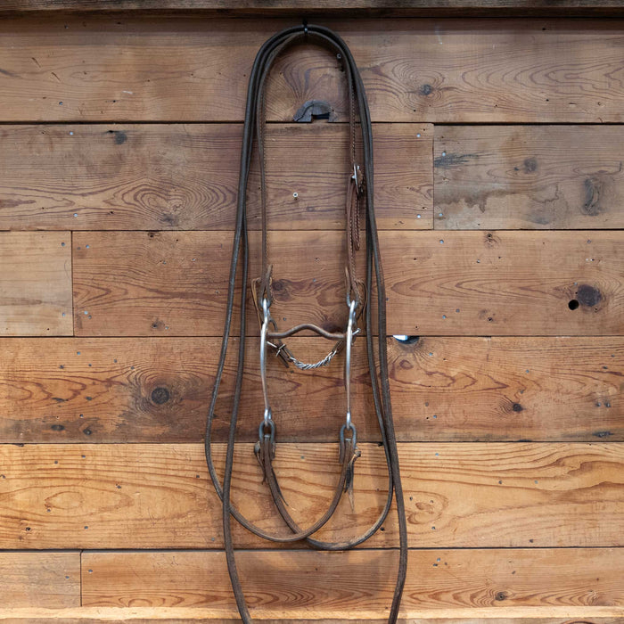 Daryl Davis Solid Port Bridle Rig