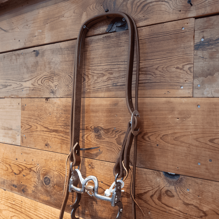 Classic Equine Gist Design Solid Port Bit Bridle Rig