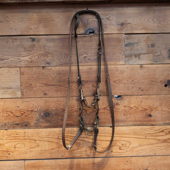 Alderson Chain Bridle Rig Tack - Rigs Gordy Alderson
