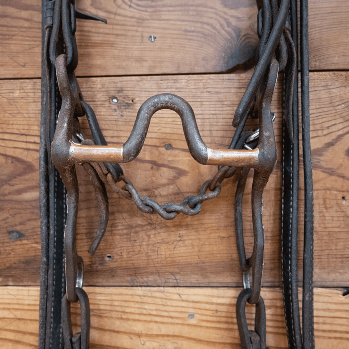 Cowpuncher Port Bit Bridle Rig