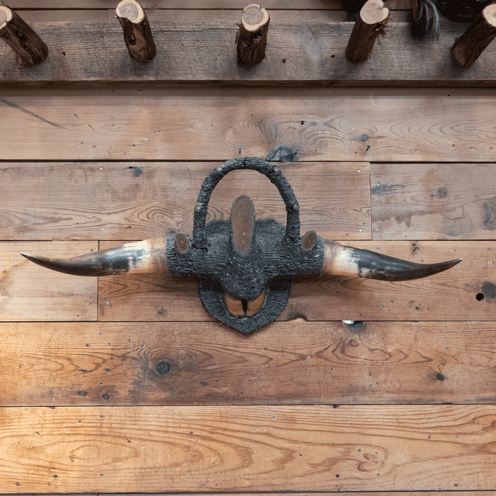 1927 Horn Rack with Hoof in Center