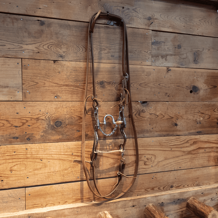 Correction w/ Copper Bars Bit Bridle Rig