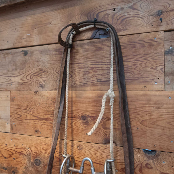 Draw Gag Correction Bit Bridle Rig