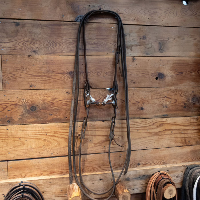 Dog Bone w/ Copper Rings Bridle Rig
