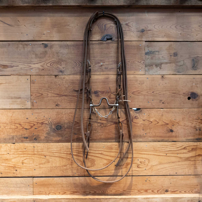 Brandon Anthony Solid Port Bridle Rig