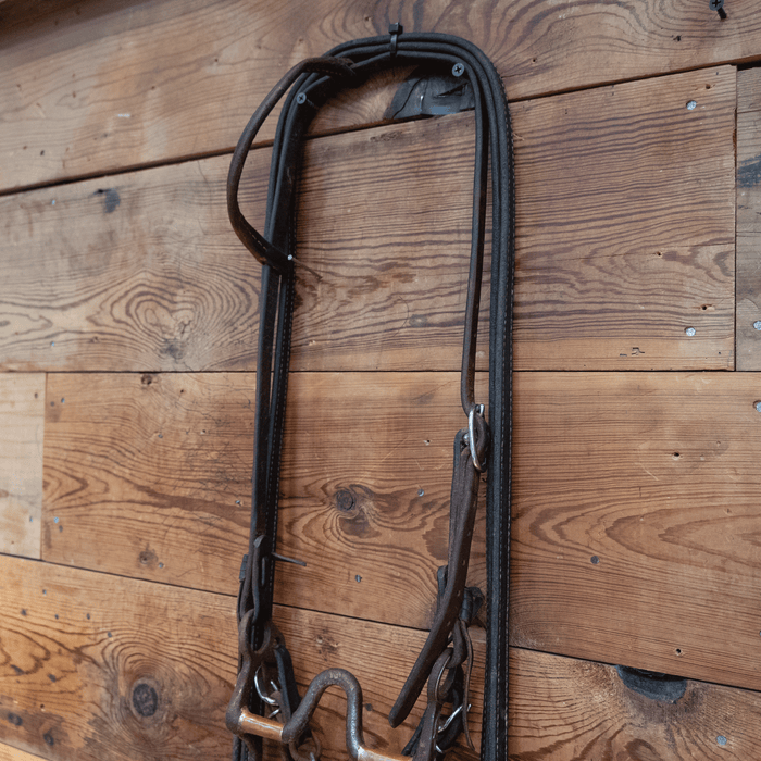 Cowpuncher Port Bit Bridle Rig