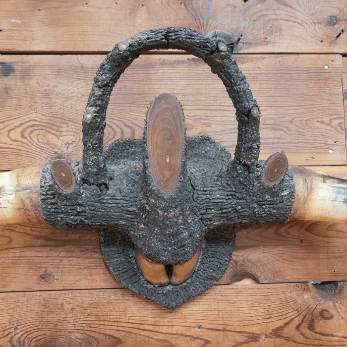 1927 Horn Rack with Hoof in Center