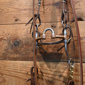 Bridle Rig - Correction with All New Leather Rig - Bit SBR557 Sale Barn TESKEY'S