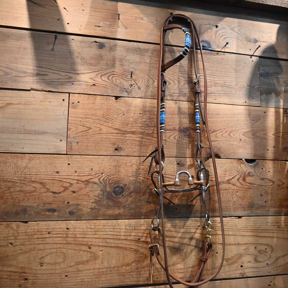 Bridle Rig - Correction with All New Leather Rig - Bit SBR557 Sale Barn TESKEY'S