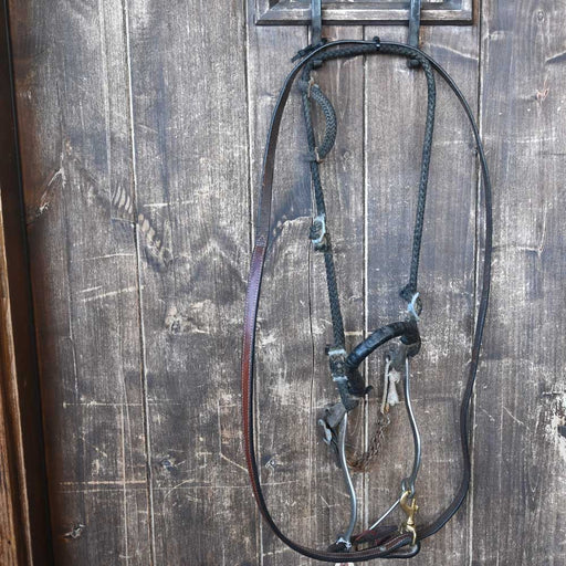 Used Hackamore Rig Sale Barn Teskey's