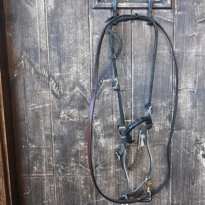 Used Hackamore Rig Sale Barn Teskey's