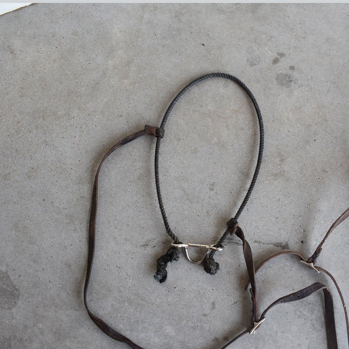 Used Nosebands Set Of 2 Sale Barn Teskey's
