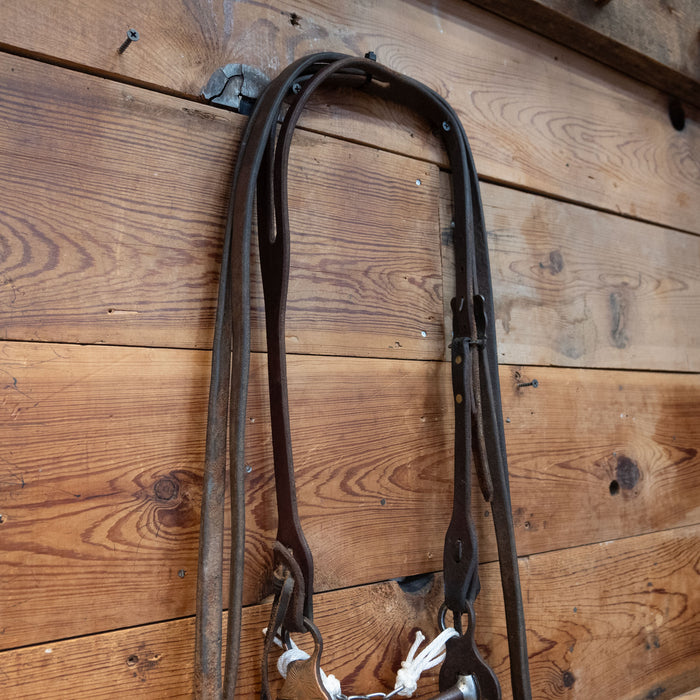 Dog Bone w/ Copper Rings Bridle Rig