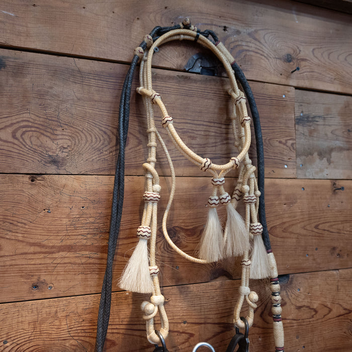 Correction Bridle Rig with Romel Reins