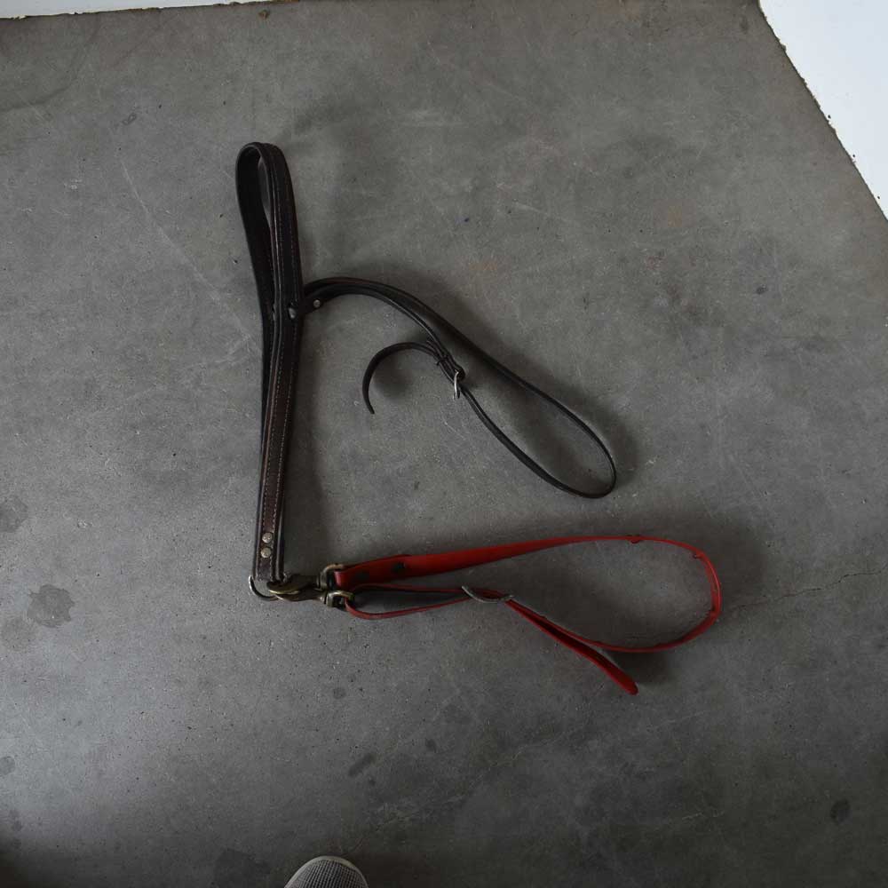 Used Leather Noseband With Tie Down Sale Barn Teskey's