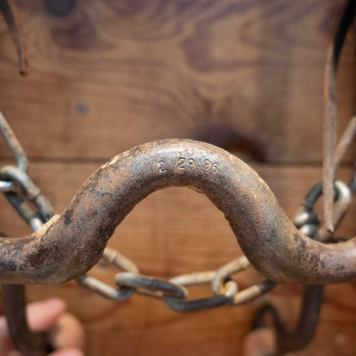 John Israel Solid Port Bridle Rig