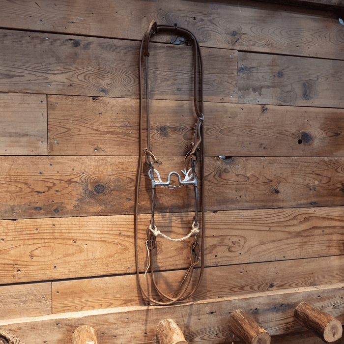 Josh Ownbey Cowboy Line Port Bit Bridle Rig