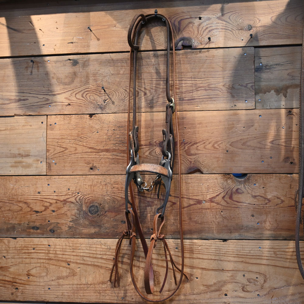 Bridle Rig - Pony size Hackamore with Silver accented conchos RIG943 Tack - Rigs MISC